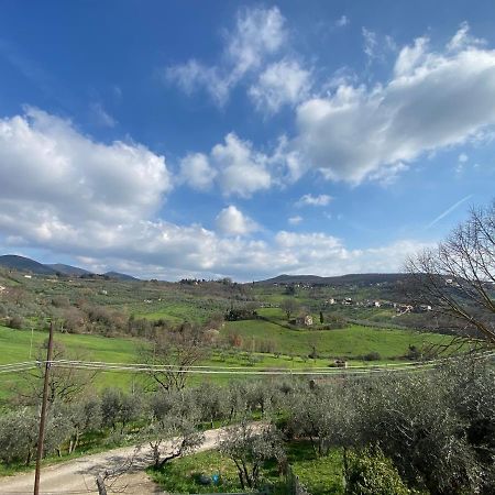Villa La Casa Di Diana à Montecchio  Extérieur photo
