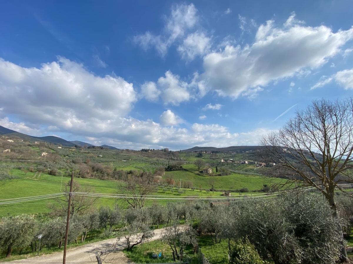 Villa La Casa Di Diana à Montecchio  Extérieur photo